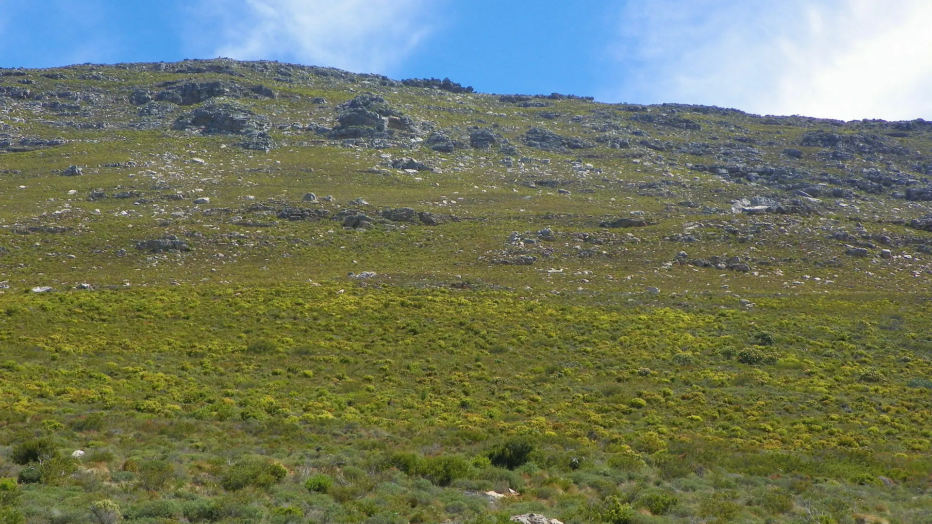 Guest house Magellan'S Passage Hotel Cape Town